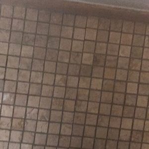 Meet your Posher, Yasmine